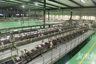 攸縣政府門戶網站 華中區最大可口可樂裝瓶廠正式在長沙投產