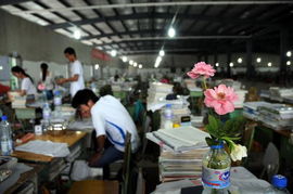 網上大講堂預告 奧運賽場什么加油手勢最文明