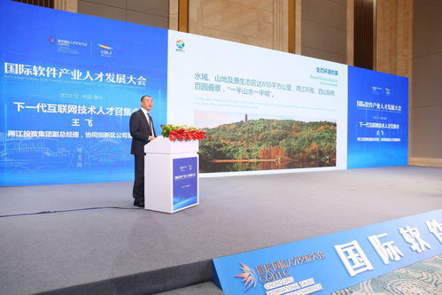 發展下一代互聯網技術 重慶兩江新區發出人才召集令