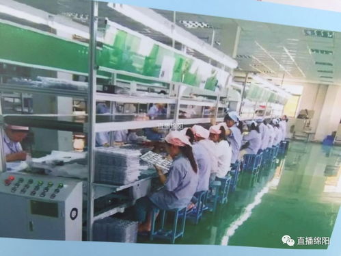 全市項(xiàng)目投資現(xiàn)場會 投資項(xiàng)目各具 氣質(zhì) 集中檢閱 美出綿陽特色