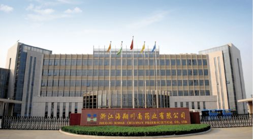 團暖十條 真心實意丨與臨海青年共度臨海年