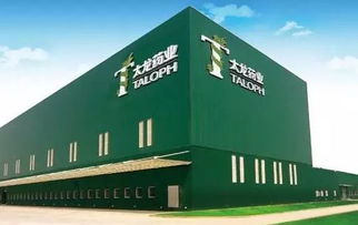 你好,我叫河南,這是我的2019最新簡歷