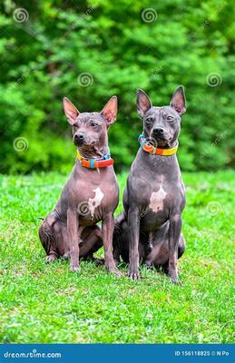 綿陽代理手游代理加盟