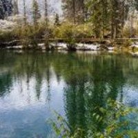 量子立學教育機構(gòu)定制開發(fā)仿制網(wǎng)站