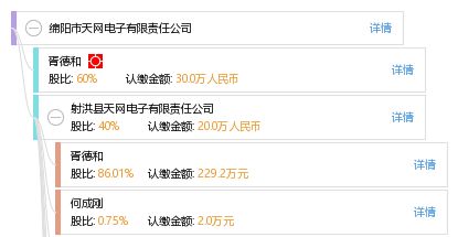 綿陽(yáng)市天網(wǎng)電子有限責(zé)任公司