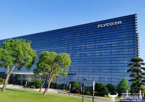 飛科電器執(zhí)行副總裁金文彩年薪174.6萬(wàn) 比副總裁吳禮清高多了