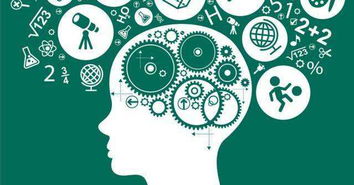 幻覺記憶背后的真相及其在綿陽網(wǎng)站開發(fā)中的應(yīng)用